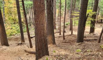 4337 Lakemont Dr, Arnold, CA 95223