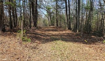 1827 Willis Gap Rd 104, Ararat, VA 24053