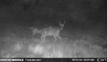 0000 CTH H, Antigo, WI 54409