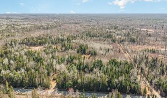 6002 Wildwood Dr, Alger, MI 48610