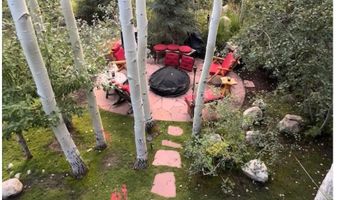 302 Roaring Fork Dr, Aspen, CO 81611