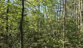 HURT HOLLOW RD, Banco, VA 22711