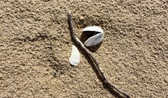 1 Wreck Rd, Alpena, MI 49707