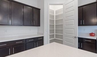 19793 W Earll Dr, Buckeye, AZ 85396