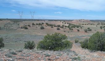 98 N9222, Concho, AZ 85924