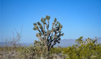 2641 S Javelina Rd, Yucca, AZ 86438