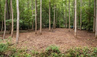 2 9 AC Chestnut Flats Rd, Andrews, NC 28901