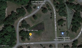 716 LIVE OAK Loop, Crescent City, FL 32112