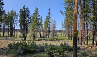 Parazoo Trail Lot 2 Block 8, Bly, OR 97622