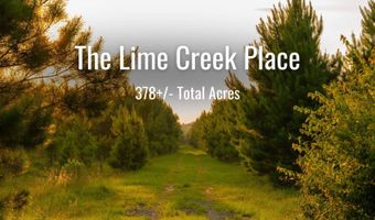 Mann Road, Arabi, GA 31712