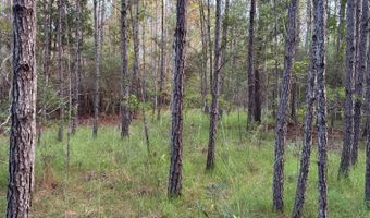 Lower Bay Road, Bay St. Louis, MS 39520