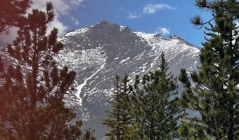 747 Coyote Hill Rd, Allenspark, CO 80510