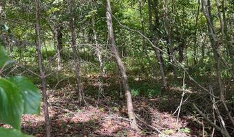 9 AC Lily Dale Rd, Allons, TN 38541