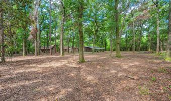 1131 Stanley Ln, Baker, FL 32531