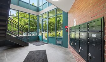 410 N 1st St 203, Ann Arbor, MI 48103