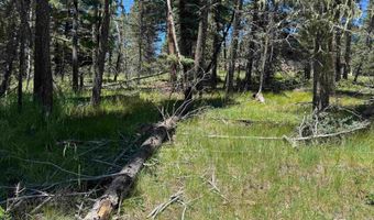 Lot 44 Calle de los Indios, Angel Fire, NM 87710