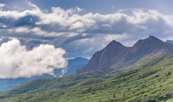 45161 Glenn Hwy, Chickaloon, AK 99674