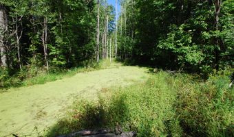 2782 River Rdg, Alger, MI 48610