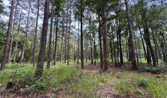 Fox Paw Court, Branchville, SC 29432