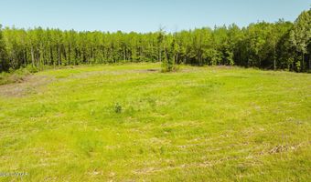 Beech Bluff Road, Beech Bluff, TN 38313