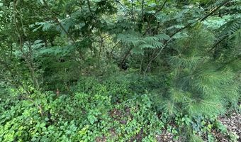 322 Courtland Dr, Angier, NC 27501