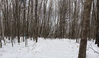 606 Log Lodge Rd, Winter, WI 54896