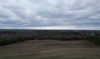 County Road 91, Banks, AL 36005
