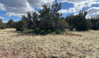 390 N Juniper Ranch Rd 108, Ash Fork, AZ 86320