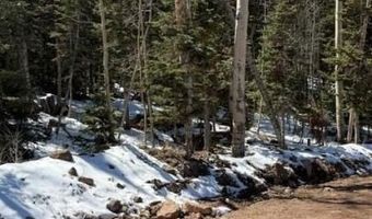 641 N Hwy 143, Brian Head, UT 84719