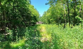 0000000 Easement, Annapolis, MO 63620