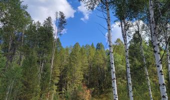 LOT 22 TRAIL RIDGE ROAD, Alpine, WY 83128