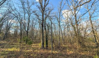 8667 W Hardwood Rd, Atoka, OK 74525
