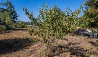 18180 Us 160, Alton, MO 65606