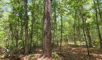 4814 NW 244 Ave, Alachua, FL 32615