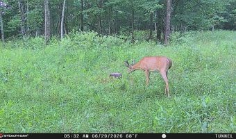 566 A Tunnel Ridge Rd, Argillite, KY 41121