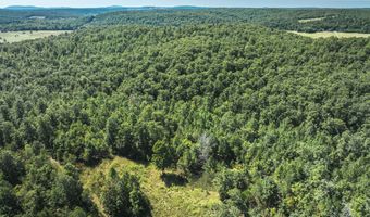 470 County Road 118, Annapolis, MO 63670