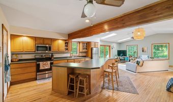 9707 Rogers Rd, Alanson, MI 49706