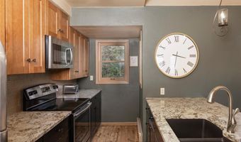 1120 BALDY Rd, Breckenridge, CO 80424