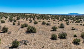 N Angels Landing Road, Ash Fork, AZ 86320