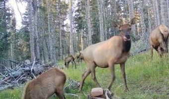 Lot 1267 Starlight Overlook, Angel Fire, NM 87710