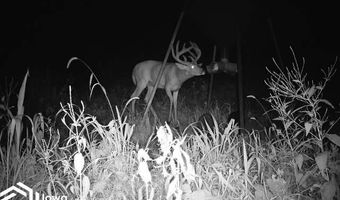 560 Th Ave, Albia, IA 52531