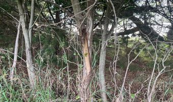 27450 SW 32nd Rd, Beatrice, NE 68319