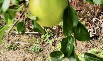 16391 HIGHWAY 101 48, Brookings, OR 97415