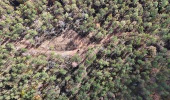 Hwy 9, Bruce, MS 38915