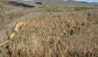 700 Acres Puncheon Creek Ln, Allred, TN 38542