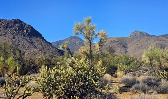 2 B S Cattle Crossing Rd, Yucca, AZ 86438