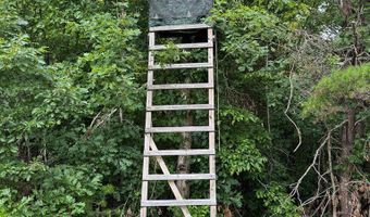 9891 Baskerville Rd, Baskerville, VA 23915