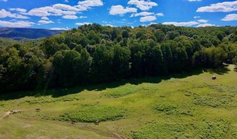 Conover Ln, Atkins, VA 24311