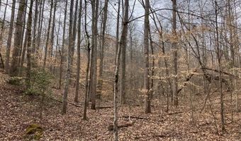 213 Wynn Fry, Big Sandy, TN 38221