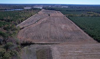 53 86 Acres-TBD Pate Rd, Bishopville, SC 29010